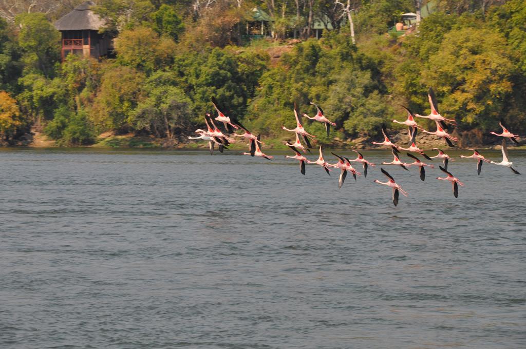 The River Club Лівінґстон Екстер'єр фото
